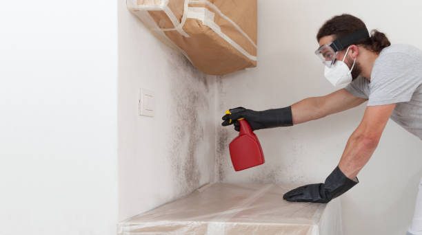 Professional Hvac And Air Duct Mold Remediation technician working in Hyde Park, MA
